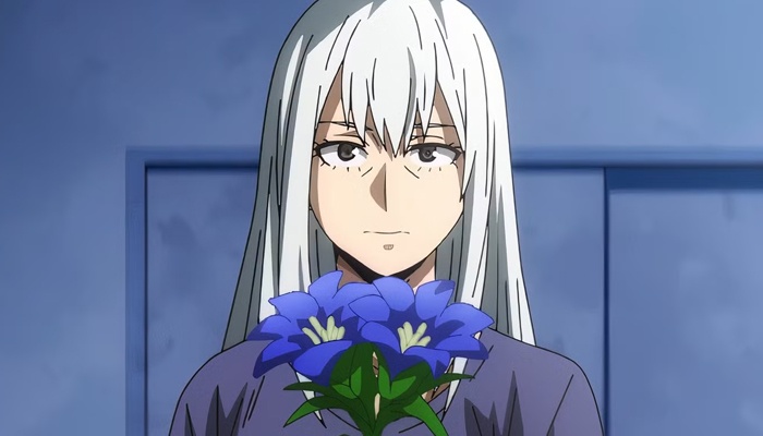 Analizando la familia Todoroki en My Hero Academia Rei Himura